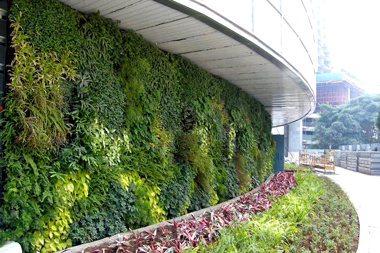 Sbl Farms Green walls and Living walls, Vertical Garden, Bio Curtains